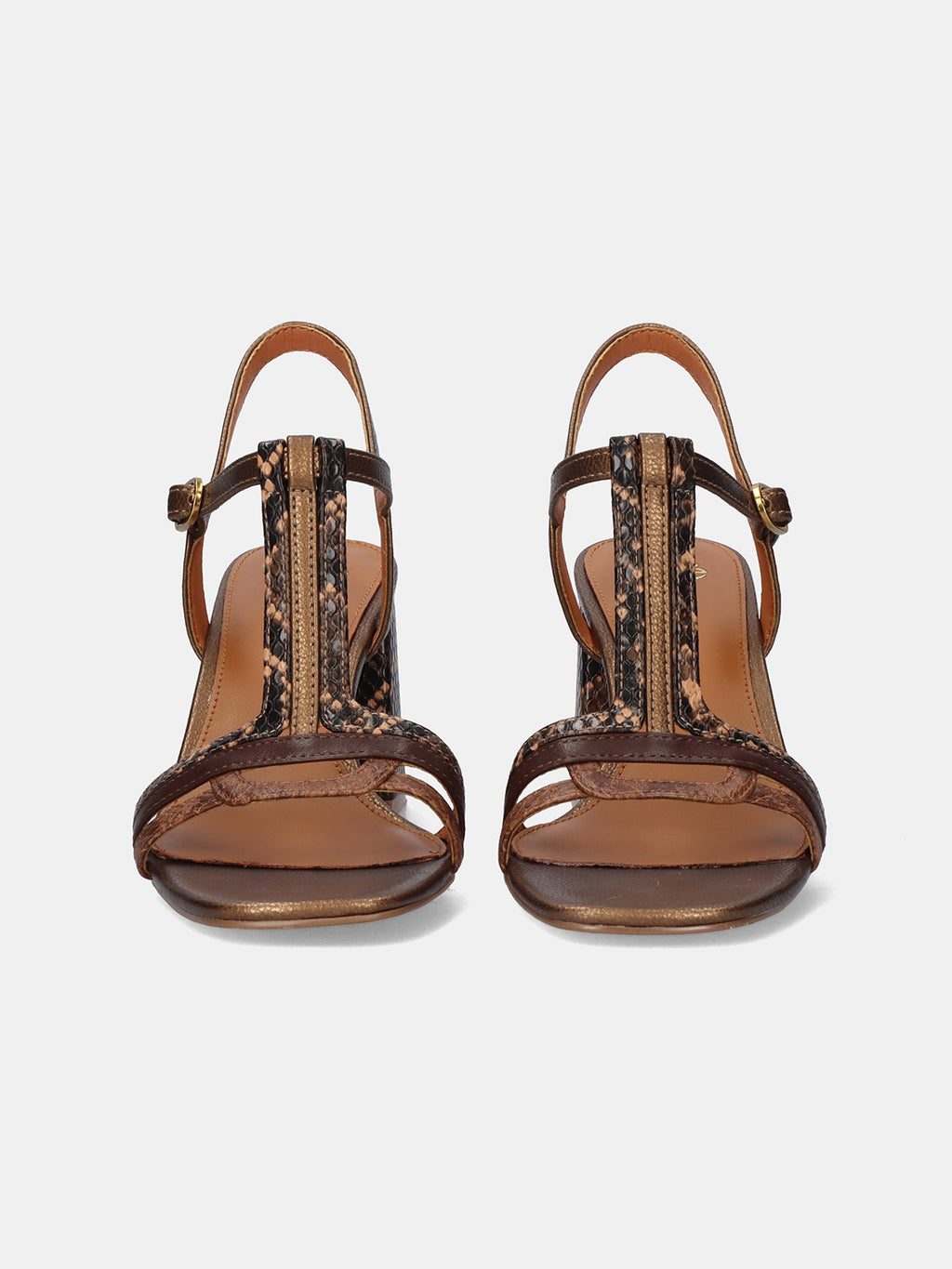 COCO-920 SNAKE BRONZE