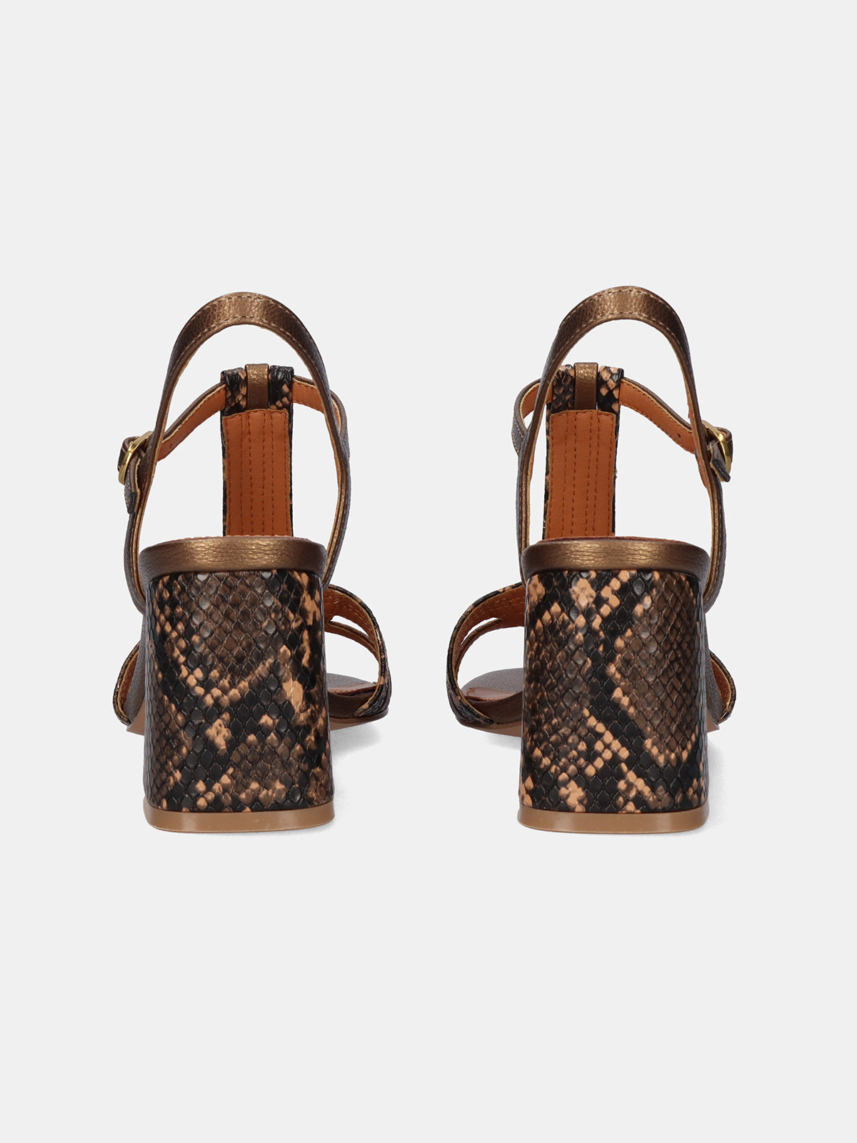 COCO-920 SNAKE BRONZE