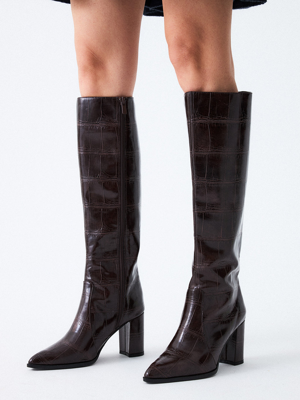 FIEEIPA-444 CROCO BROWN