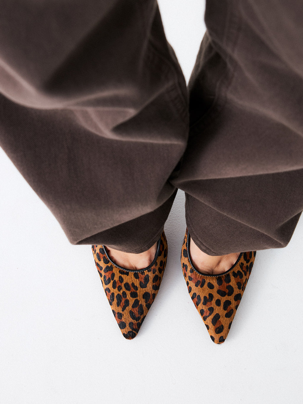 TOLEDO-905 LEOPARD BROWN