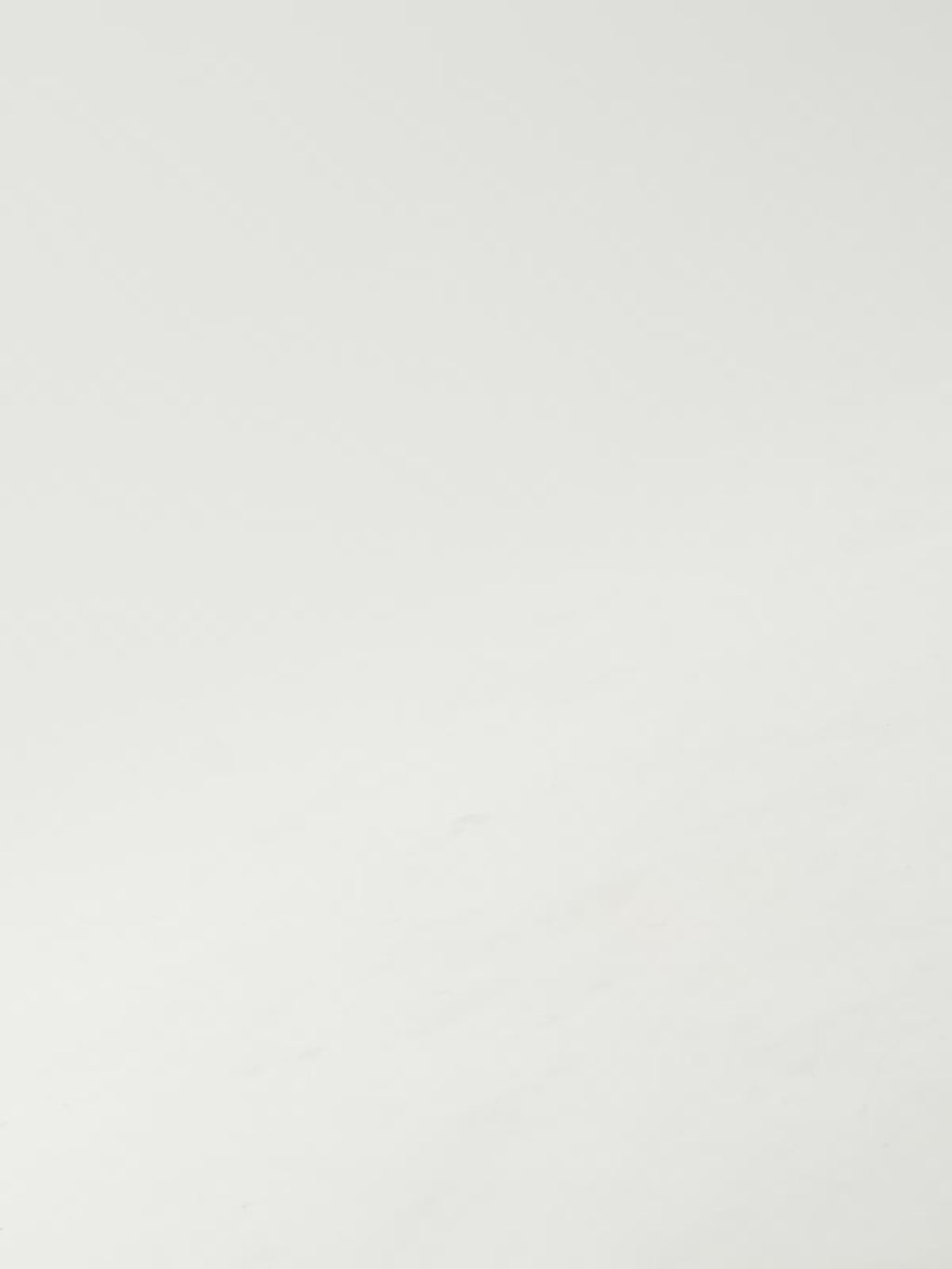 PARIS-817 LEOPARD BLACK