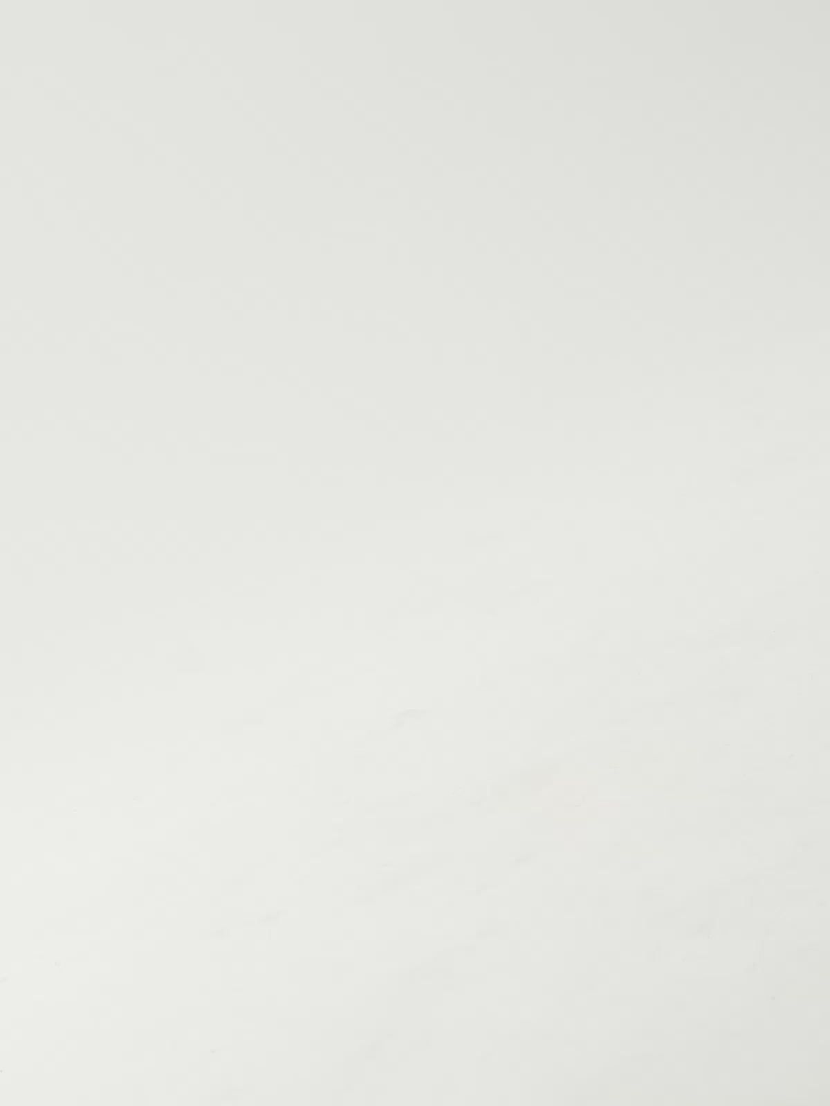 PARIS-817 LEOPARD BLACK