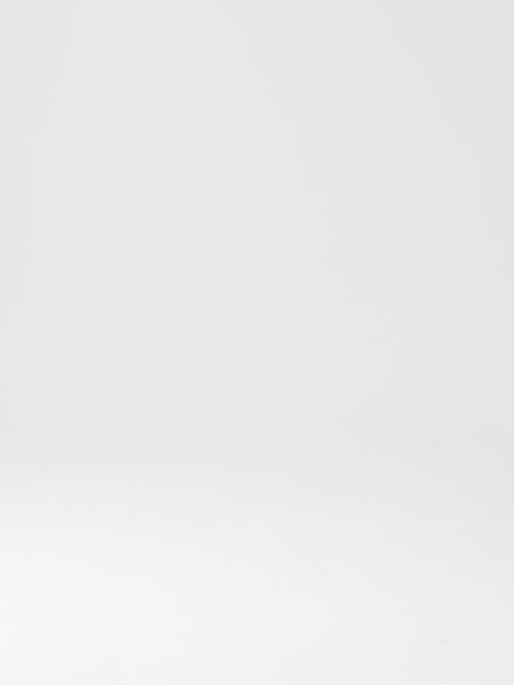 2619-05T LEATHER BLACK