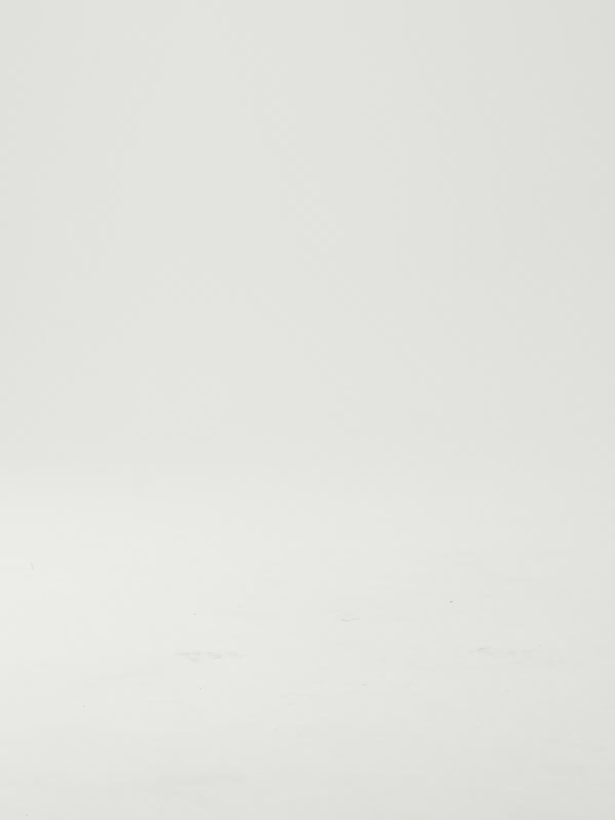 2575-04T LEATHER BLACK